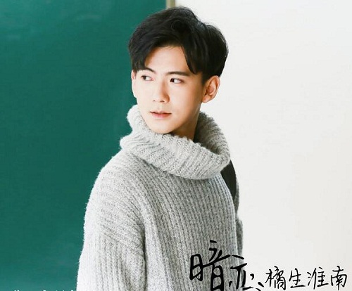 盛淮南什么时候喜欢洛枳的