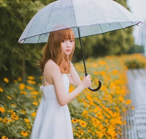一场遇见爱情的旅行