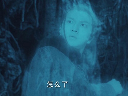 秦岭神树不言骑为什么看小哥