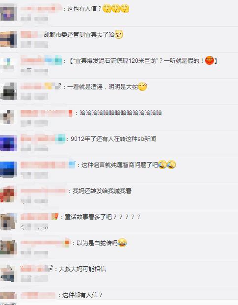 泥石流巨龙系谣言