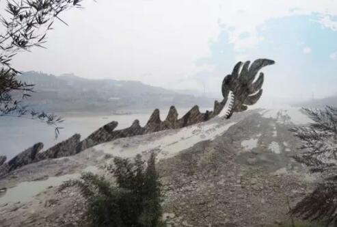 泥石流巨龙系谣言