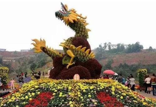 泥石流巨龙系谣言