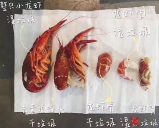 垃圾桶卖断货被限购