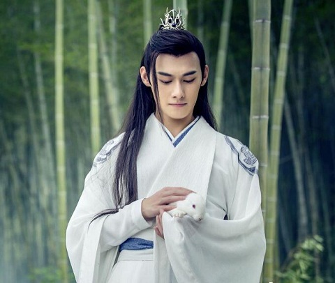 陈情令江澄喜欢温情吗