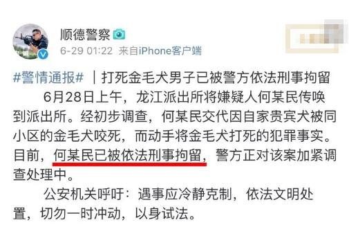 打死金毛犬被刑拘