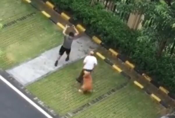 打死金毛犬被刑拘