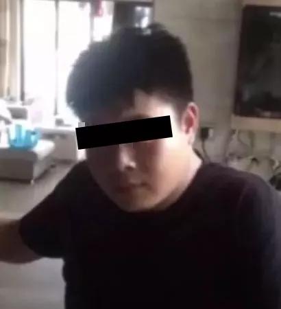 打死金毛犬被刑拘