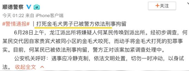 金毛犬主朋友遭人肉后报警