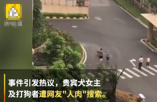 金毛犬主朋友遭人肉后报警