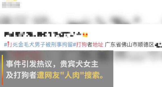金毛犬主朋友遭人肉后报警