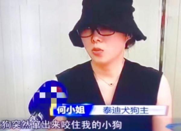 警方回应金毛犬案