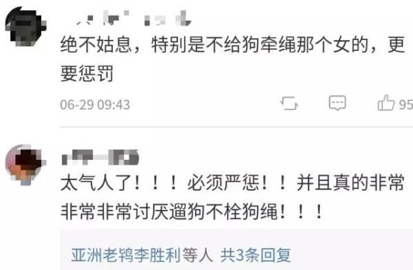 警方回应金毛犬案