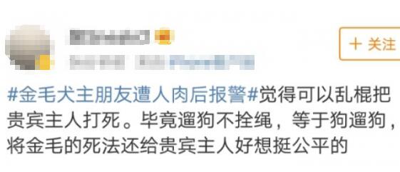 警方回应金毛犬案