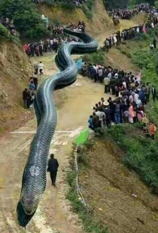 宜宾震后造谣被拘