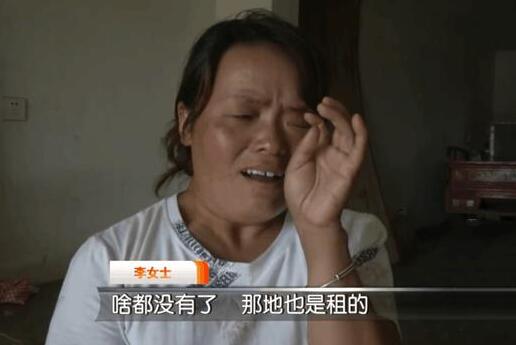 2000个西瓜被砍烂