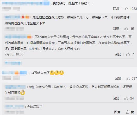 2000个西瓜被砍烂