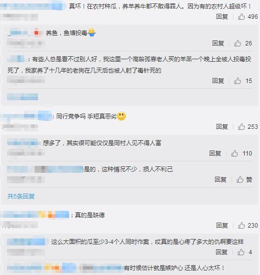 2000个西瓜被砍烂