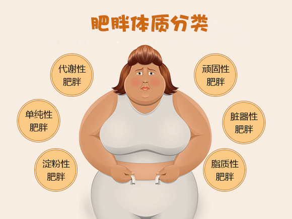 人类环境易致肥胖