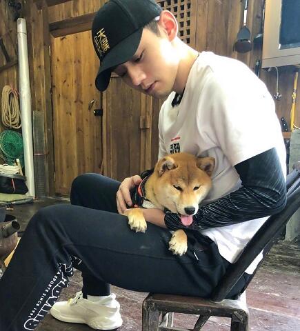向往的生活锅碗瓢盆被谁领养了