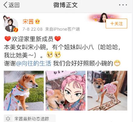 向往的生活锅碗瓢盆被谁领养了