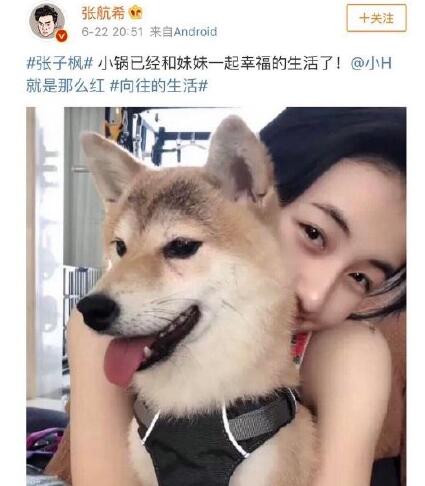 向往的生活锅碗瓢盆被谁领养了
