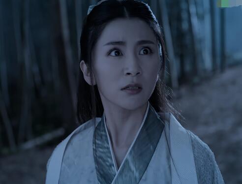 陈情令抱山散人是男是女