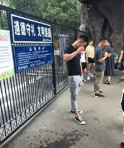 合肥大猩猩出逃