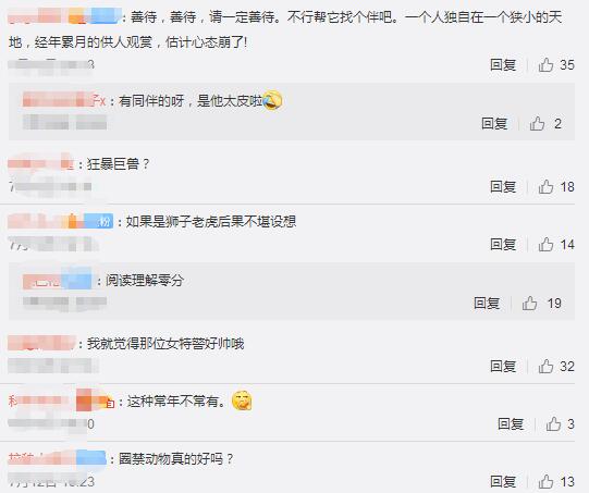 合肥大猩猩出逃
