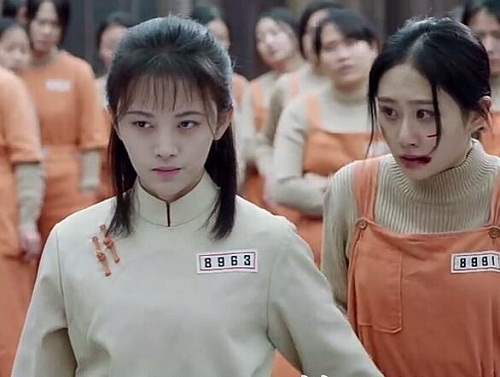 请赐我一双翅膀小白菜是好是坏