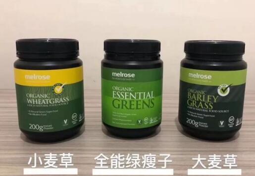 绿瘦子是什么