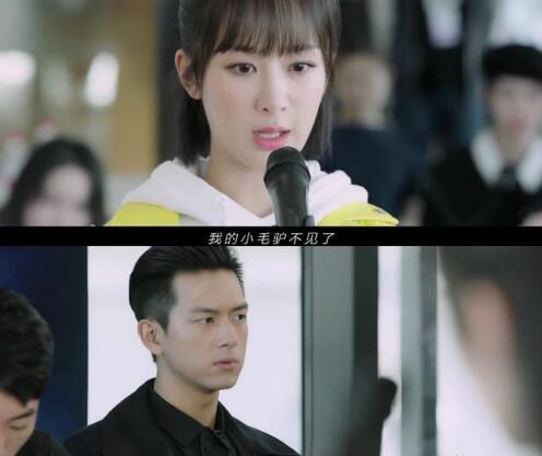 我的小毛驴不见了什么梗