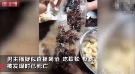 主播吃壁虎身亡