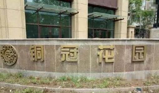 主播吃壁虎身亡