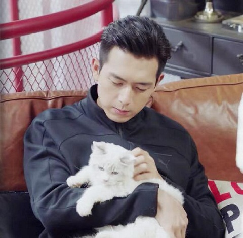 佟年送给韩商言的猫是什么品种