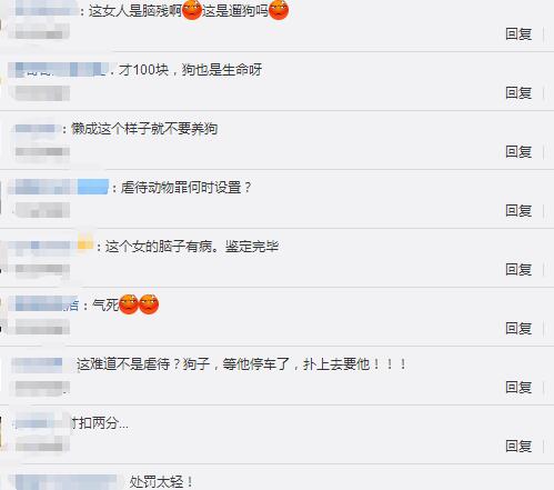 女司机开车遛狗