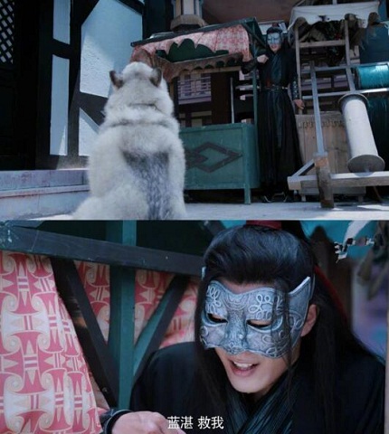 陈情令魏无羡为什么怕狗