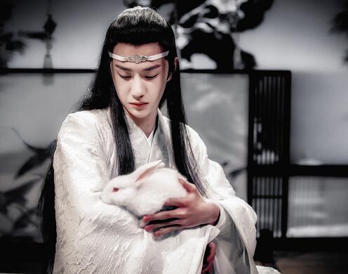 陈情令问灵是什么意思
