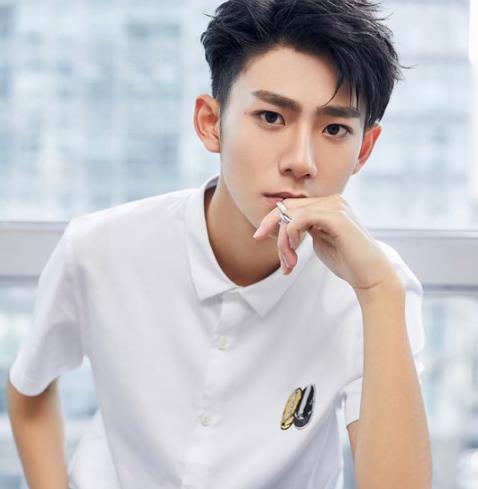 刘家祎是哪里人