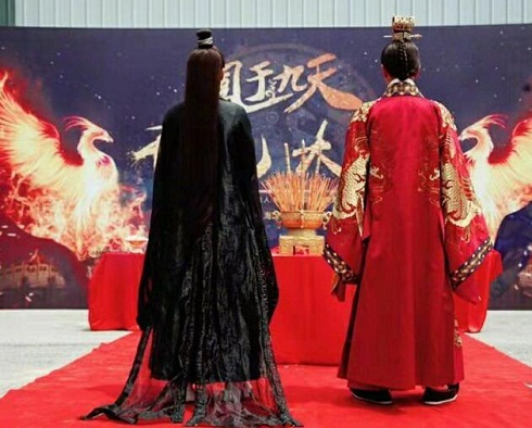 凤于九天作者不知开机消息