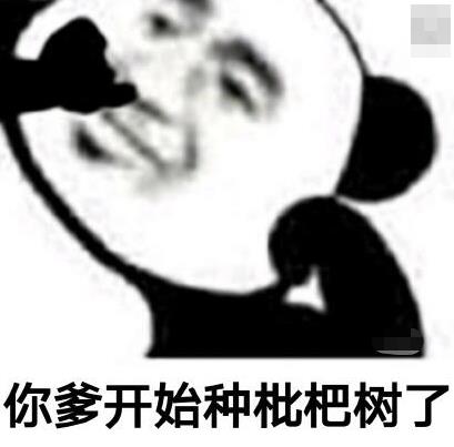 你爸种枇杷树什么意思