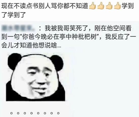你爸种枇杷树什么意思