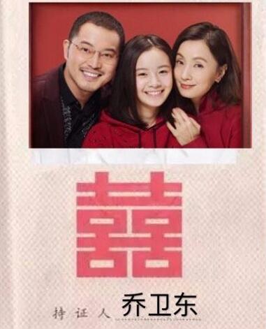 宋倩乔卫东复婚在多少集
