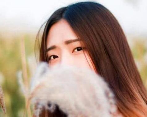 征服机关里的美人