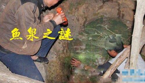 重庆鱼泉之谜是真的吗