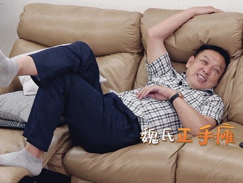 做家务的男人魏大勋家的沙发什么牌子
