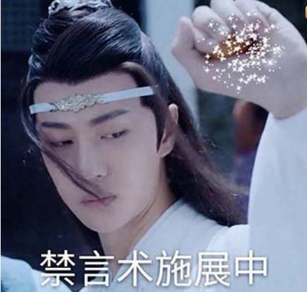 蓝氏禁言什么意思