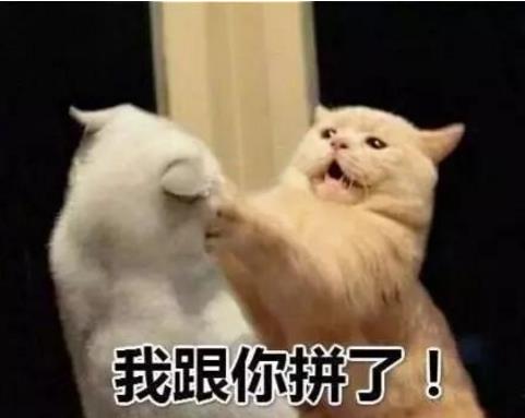 抖音新农合是什么梗