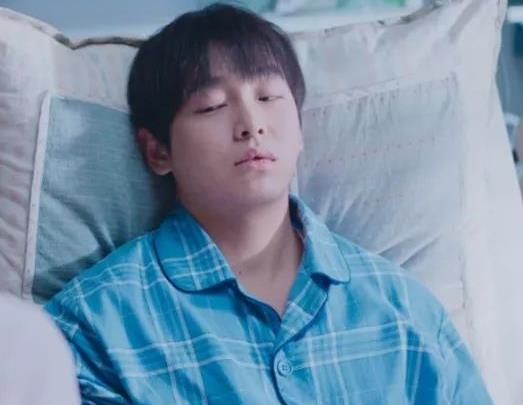 小小的愿望什么时候上映