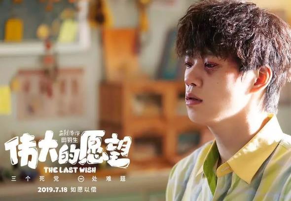 小小的愿望什么时候上映