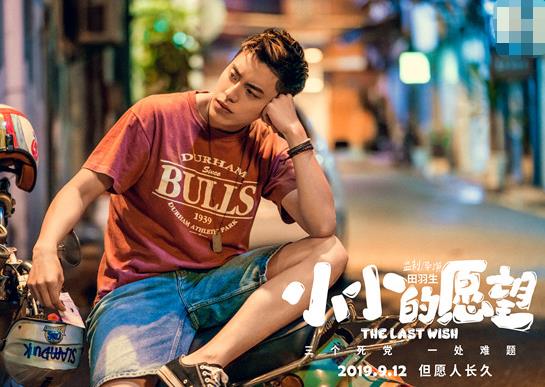 小小的愿望撤档的原因